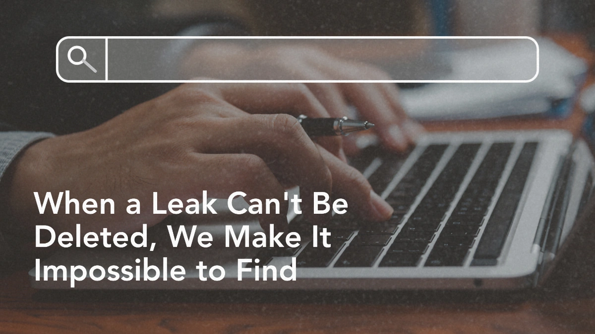 When a Leak Can't Be Deleted, We Make It Impossible to Find